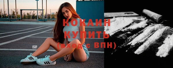 дмт Арсеньев