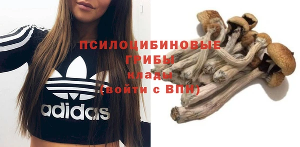 дмт Арсеньев