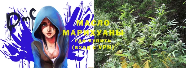 дмт Арсеньев