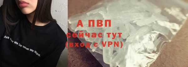 apvp Алзамай