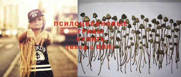 тгк Армянск