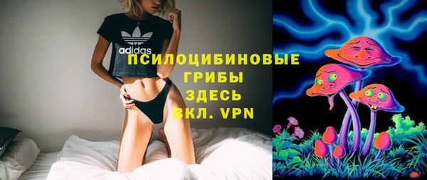 дмт Арсеньев