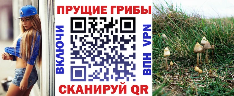 Псилоцибиновые грибы Psilocybe  Сольвычегодск 