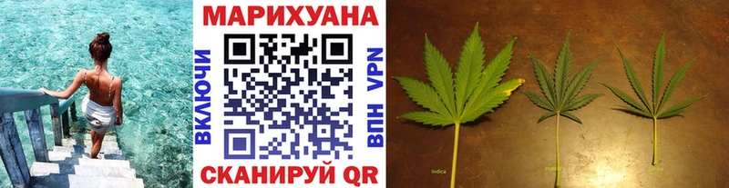 Каннабис индика Сольвычегодск
